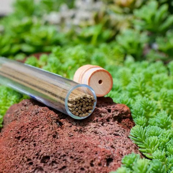 Best Natural Pure White Sage Stick Incense for for Cleansing