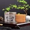 Best Smelling Natural Handmade Lavender Coiled Incense for Home