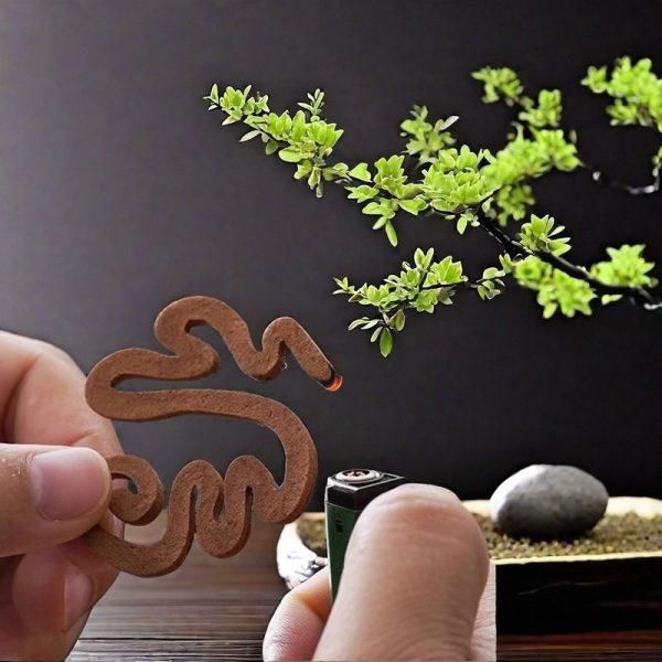 Natural Handmade Vietnamese Pure Agarwood Incense Coils Box for Sale